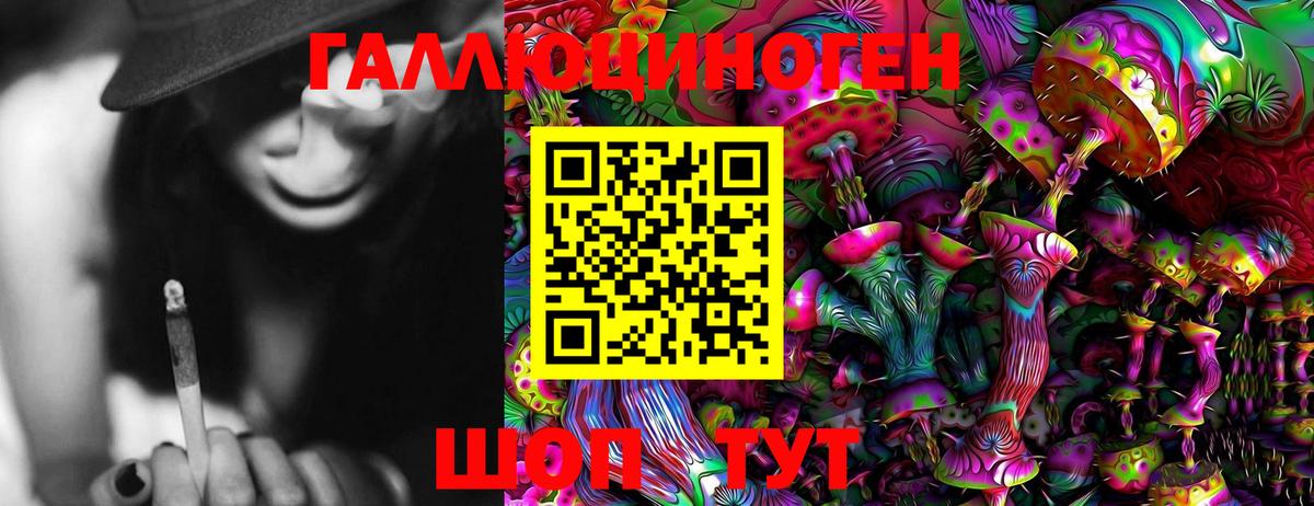 Псилоцибиновые грибы прущие грибы Кимры
