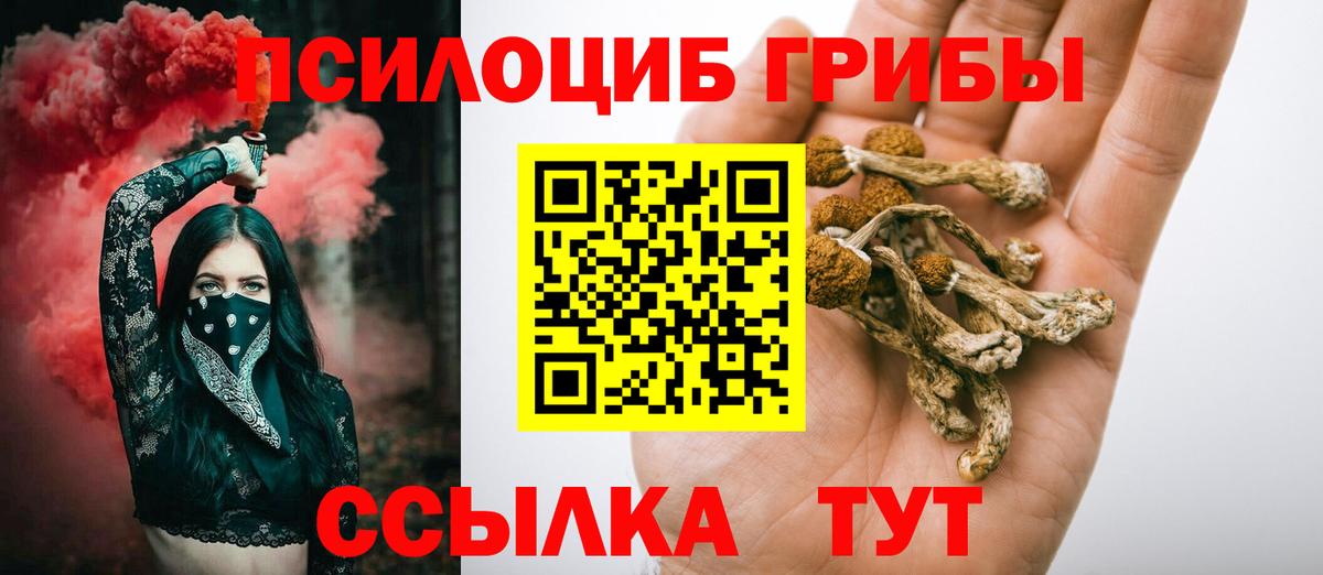 Кимры  Псилоцибиновые грибы GOLDEN TEACHER  наркотики  Вход с VPN 